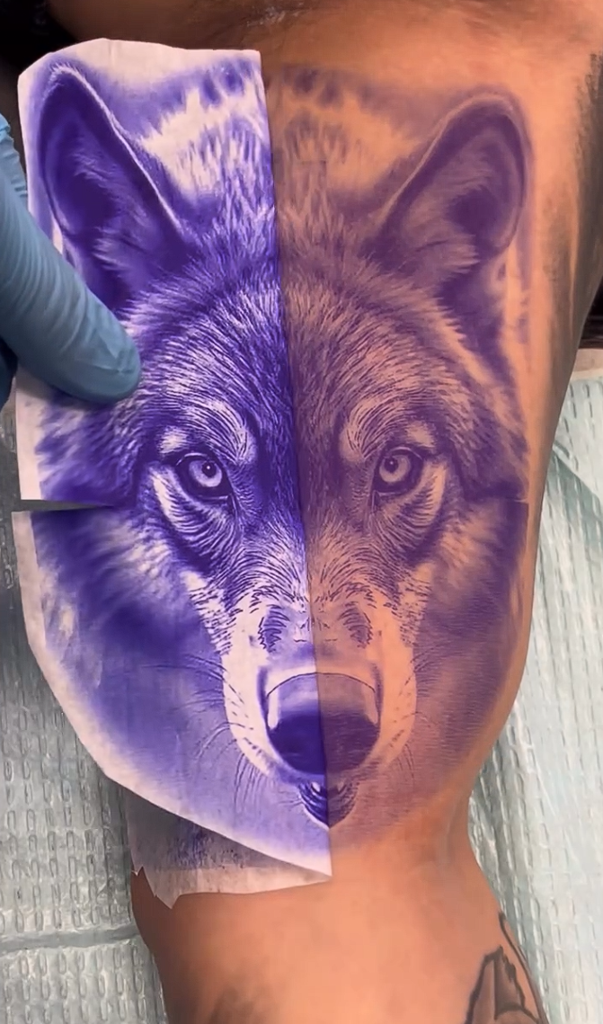 A close-up of a wolf face tattoo design being applied or shown on skin, with a blue-gloved hand holding a purple-tinted sheet in front of the design.